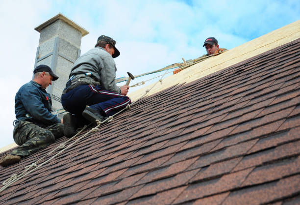 Gutter Installation and Roofing in Georgetown, KY